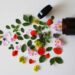 anua skincare naturalite